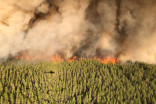 One firefighter dies as more than 100 wildfires burn across NW Ontario
