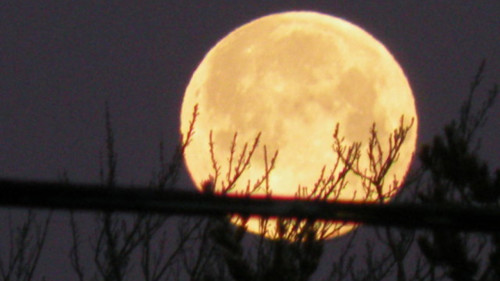 A 'Full Pink Moon' Will Shine Big And Bright In Texas Skies
