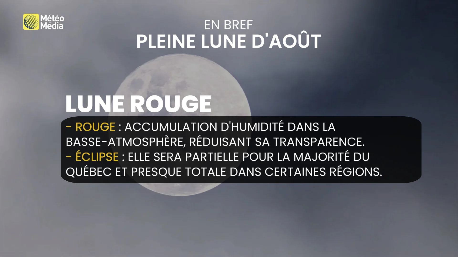 ECLIPSE1 (1)