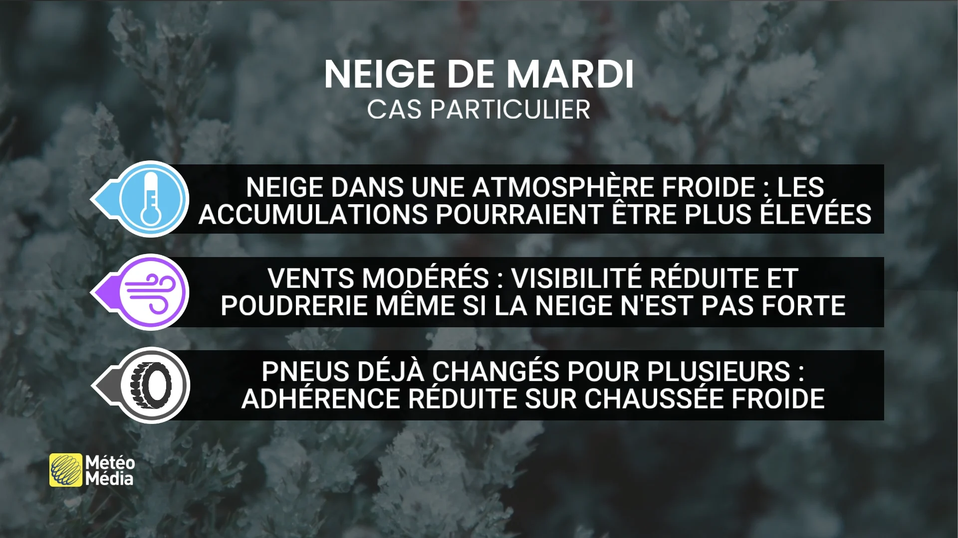 NEIGE4 (4)