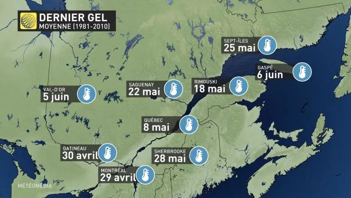GEL1-NORMALE