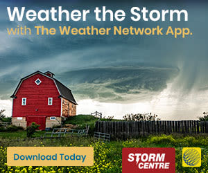 Get a full weather experience. Download The Weather Network App.