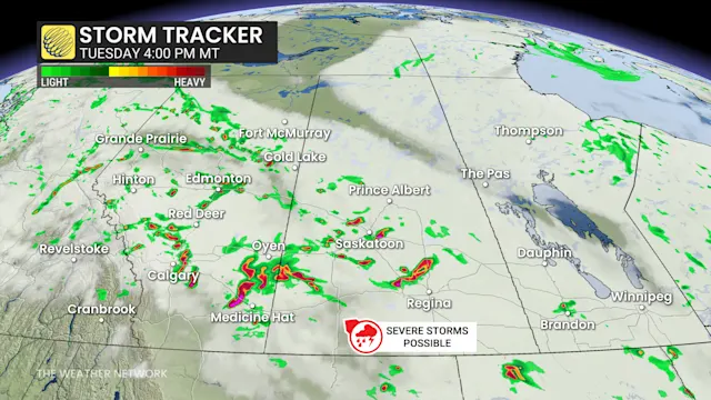 Damaging hail and winds possible with Prairies severe weather risk ...