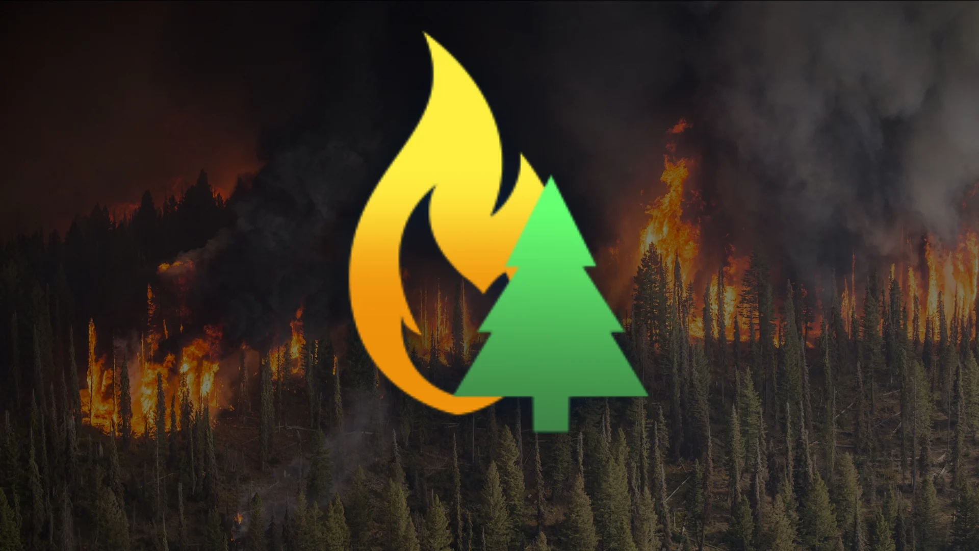 Feux de forêt : après le Québec, l’Australie toujours en proie aux flammes