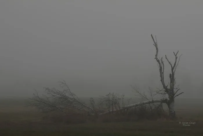 Octobre, dans la douceur et la pluie