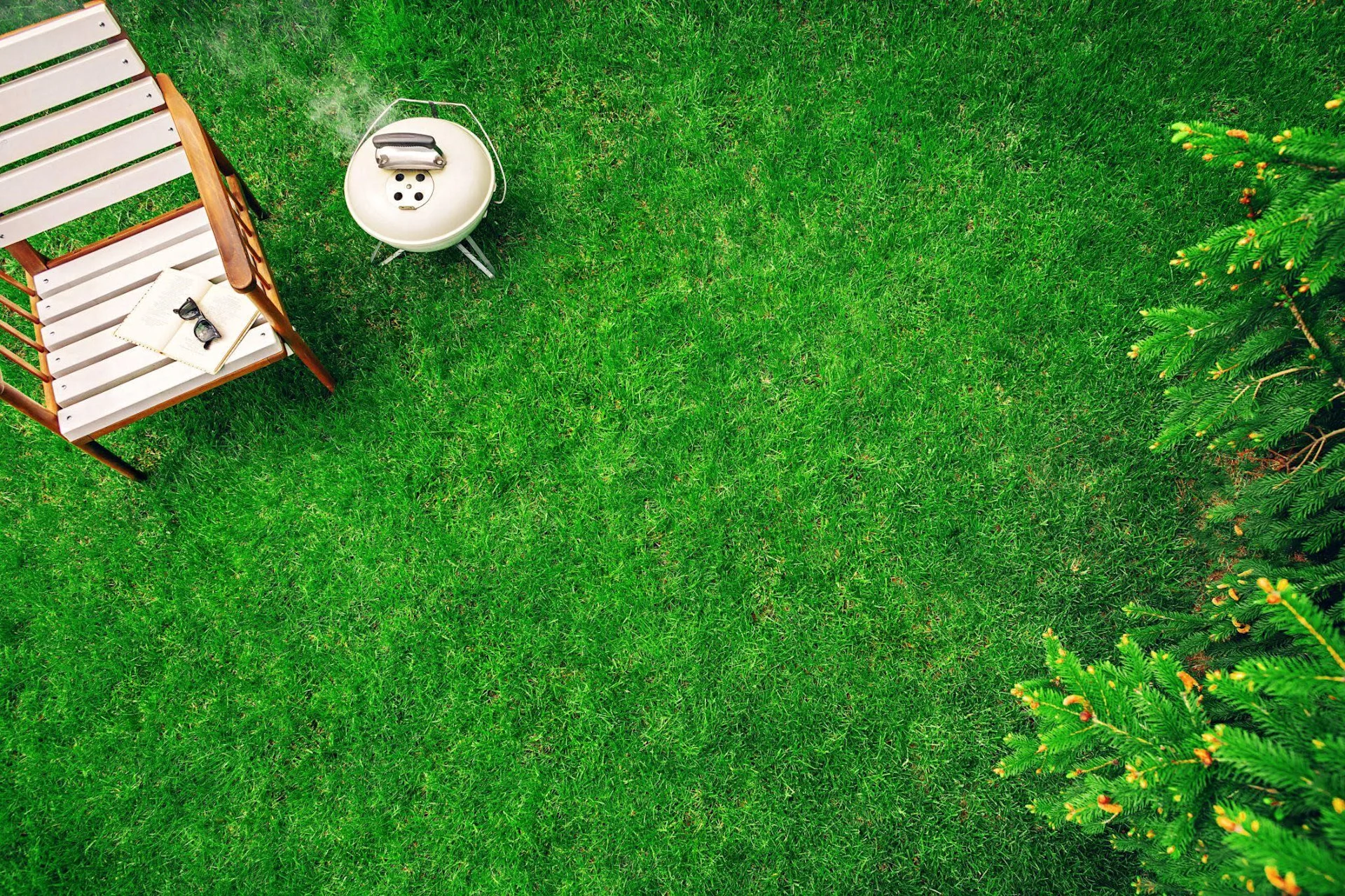 PHOTO allergies tondeuse 3