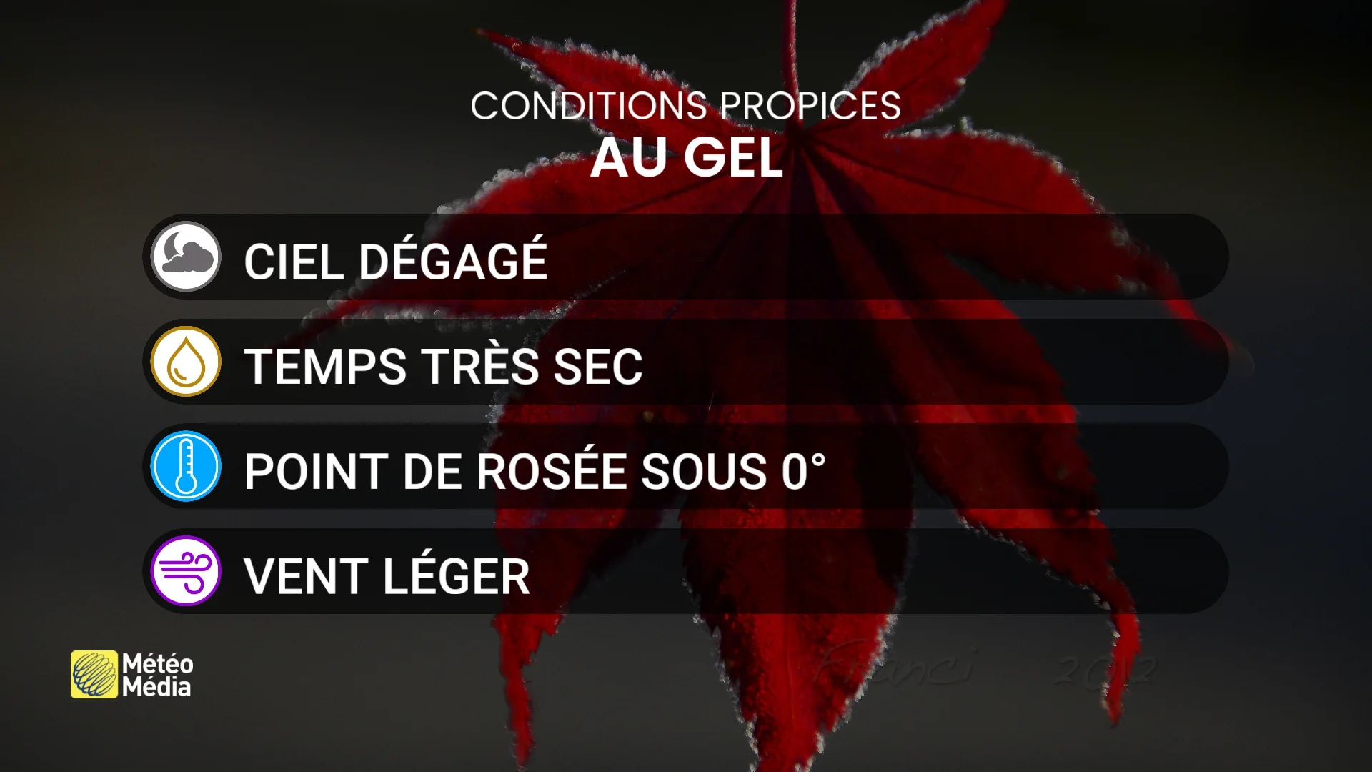 GEL3 (1)