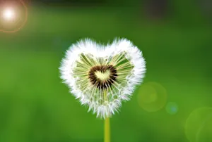 Il y a plein de raisons d'aimer le printemps. En voici 5.