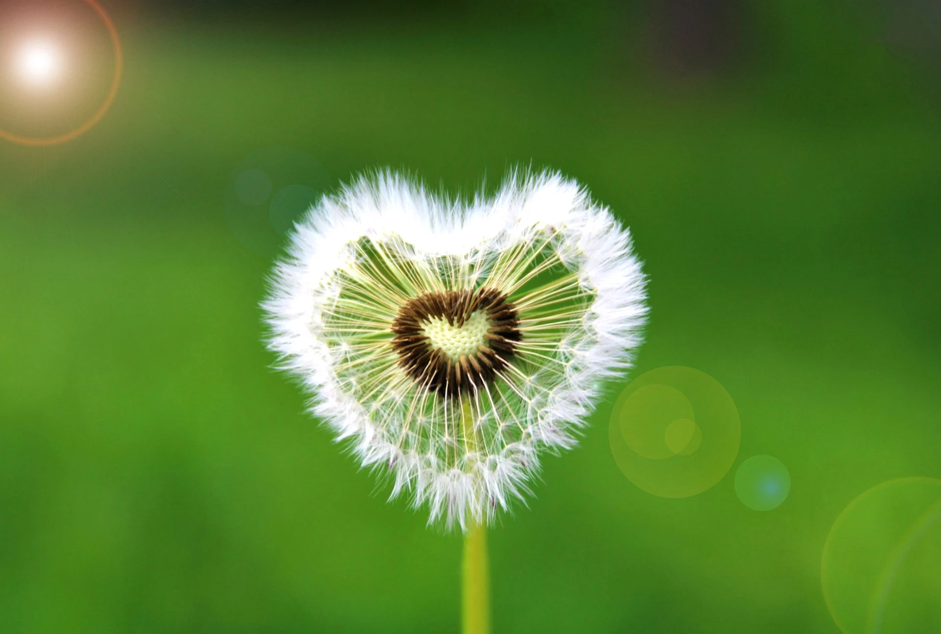 Voici cinq bonnes raisons d'aimer le printemps