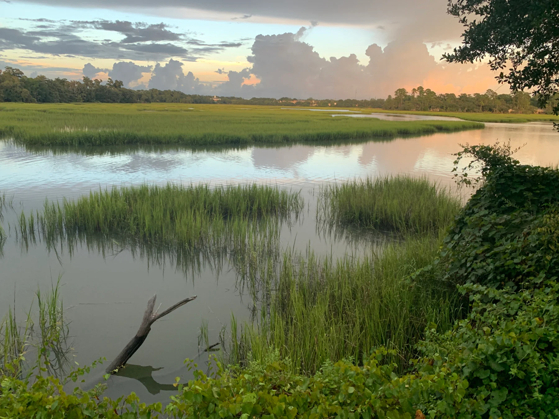 Climate crisis and nature decline must be tackled together, scientists say