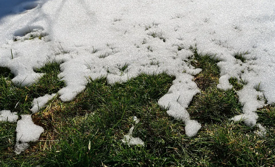 Une neige estivale signe de bonne nouvelle pour le Québec !