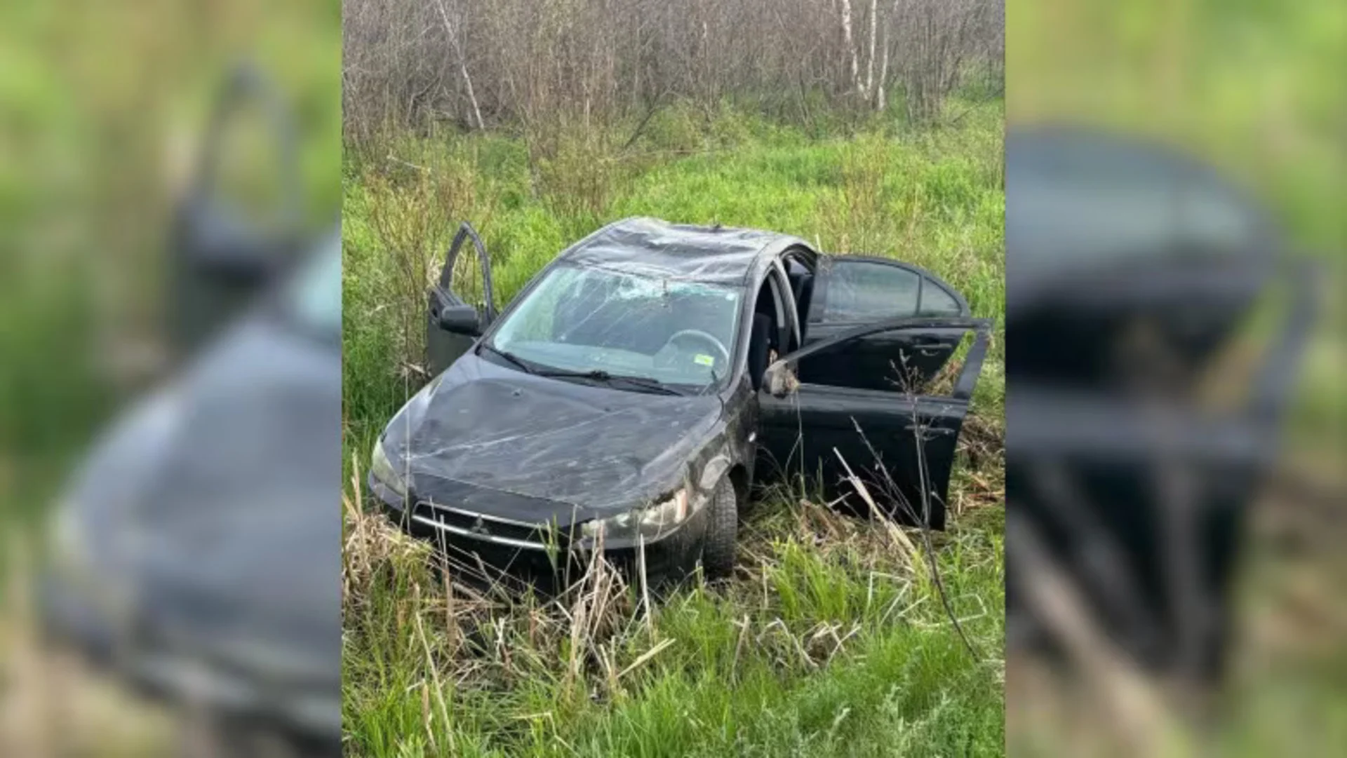 New Quebec road hazard? The slippery, fuzzy tent caterpillar has caused 2 cars to go off the road