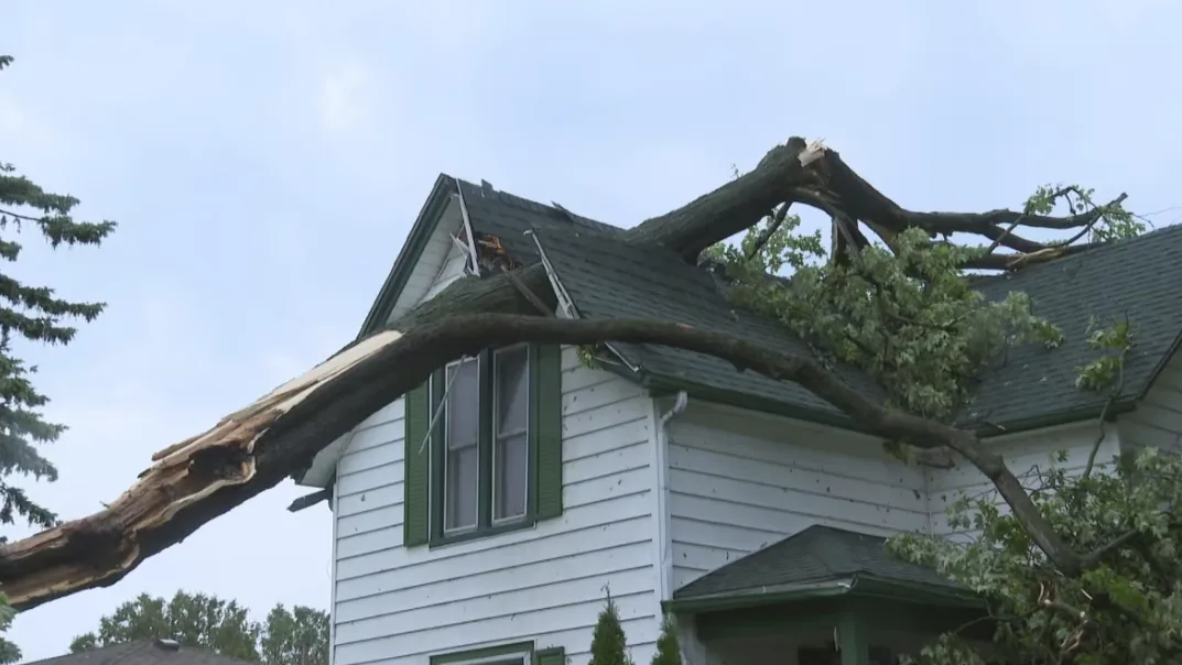 CBC: Harrow house hit by a tree during a July 26, 2023 storm. (Meg Roberts/CBC)