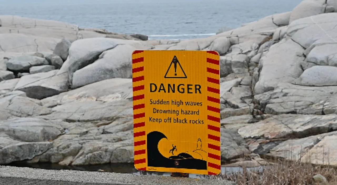 1 dead, 1 seriously injured after falling into water off Peggys Cove