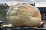 Giant pumpkin weigh-off: Looks can be deceiving