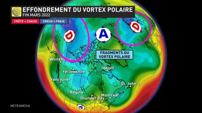 LT CORRECTION VORTEX