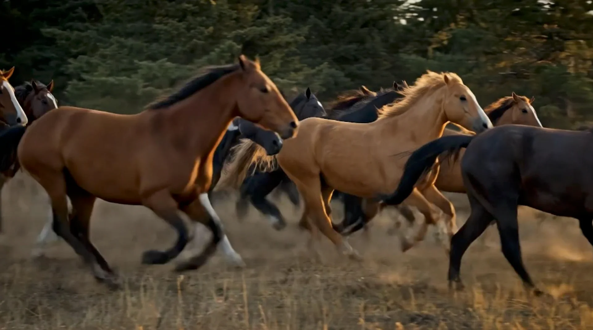 NO RE-USE: Credit: Boundary Ranch