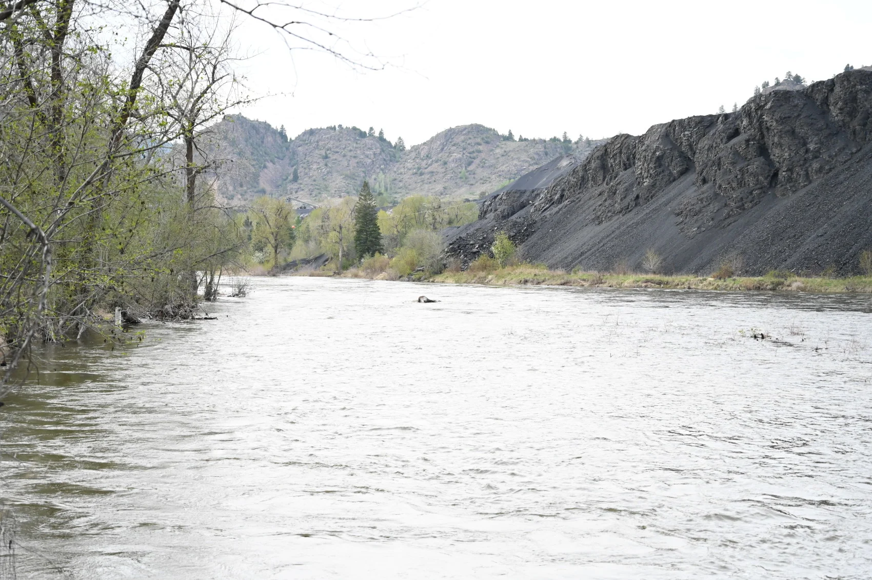 The Kettle River in Grand Forks, B.C. (Mia Gordon)