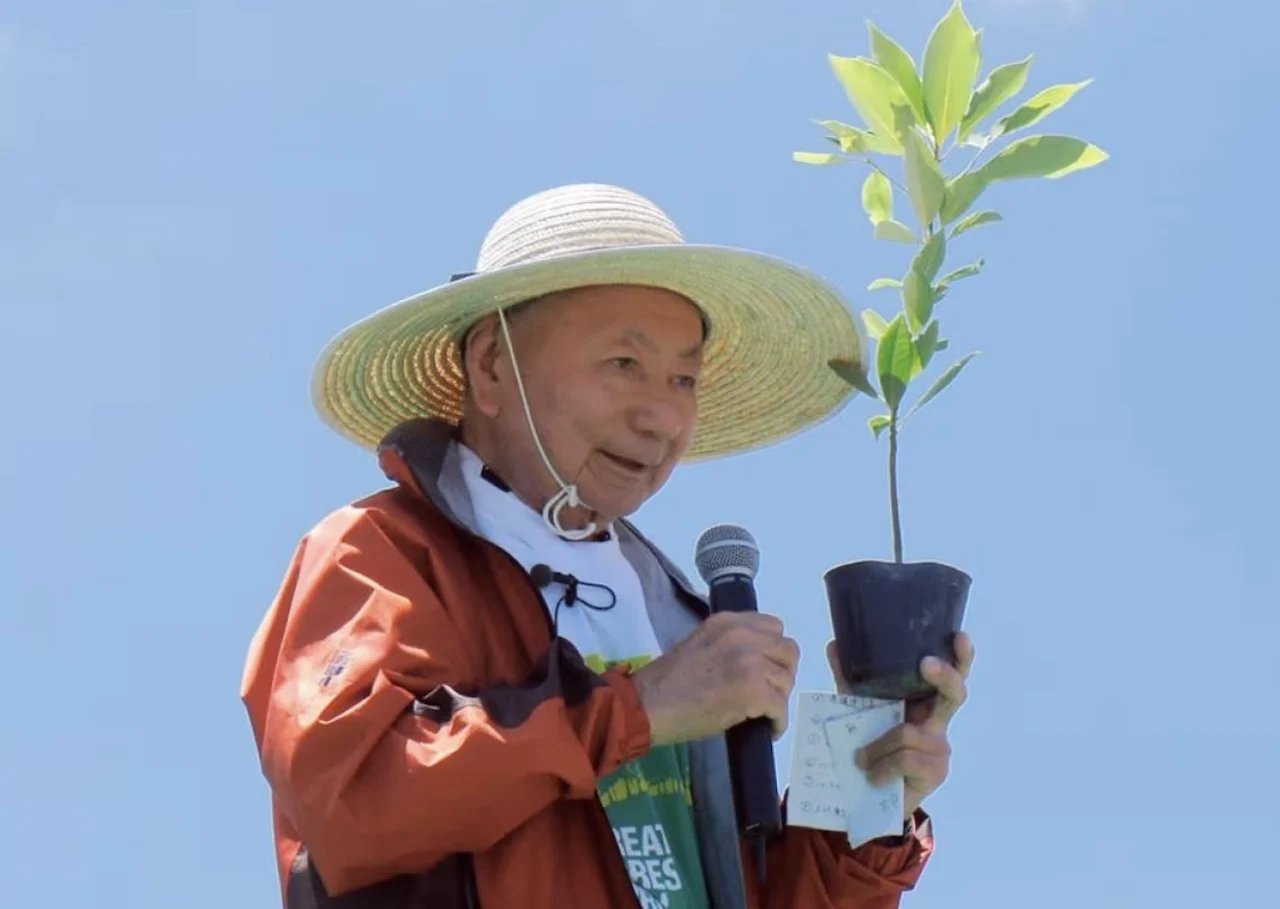 Akira Miyawaki/afforestt.com via CBC