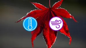 Coup de froid : vous risquez d’avoir envie de partir le chauffage. Détails ici.