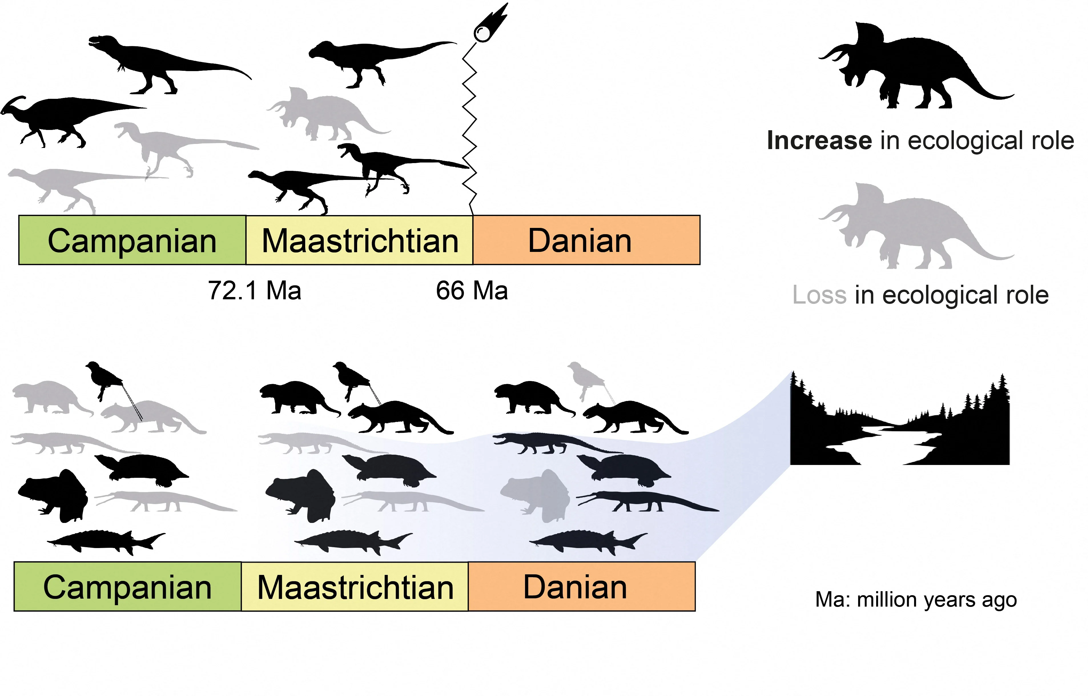 REUTERS: An undated handout illustration shows ecological network dynamics across the Cretaceous–Palaeogene extinction event 66 million years ago. Authors of "Shifts in food webs and niche stability shaped survivorship and extinction at the end-Cretaceous"/Science Advances/Handout via REUTERS