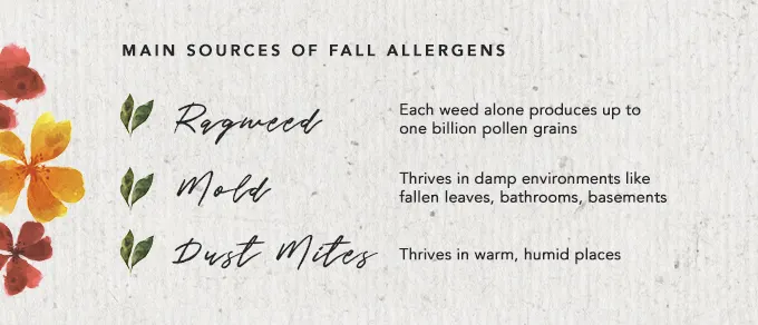 WN Allergies Fall Infographic ENG 2