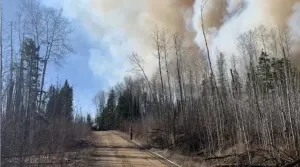 Two Alberta hamlets on evacuation alert due to wildfire threat