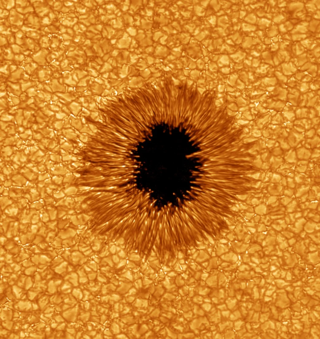 Big-Bear-Solar-Telescope-sunspot tio 20100702