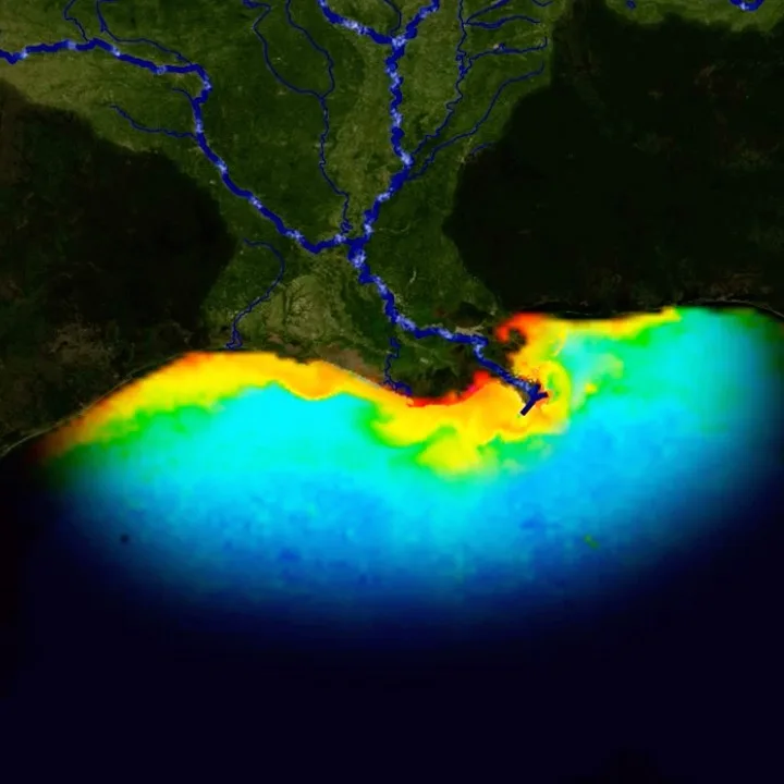 Superficie historique d’une zone morte dans le golfe du Mexique