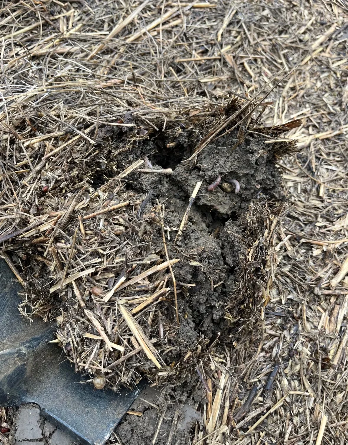 shovel-digging-into-semi-wet-dirt/Derek Axten via CBC