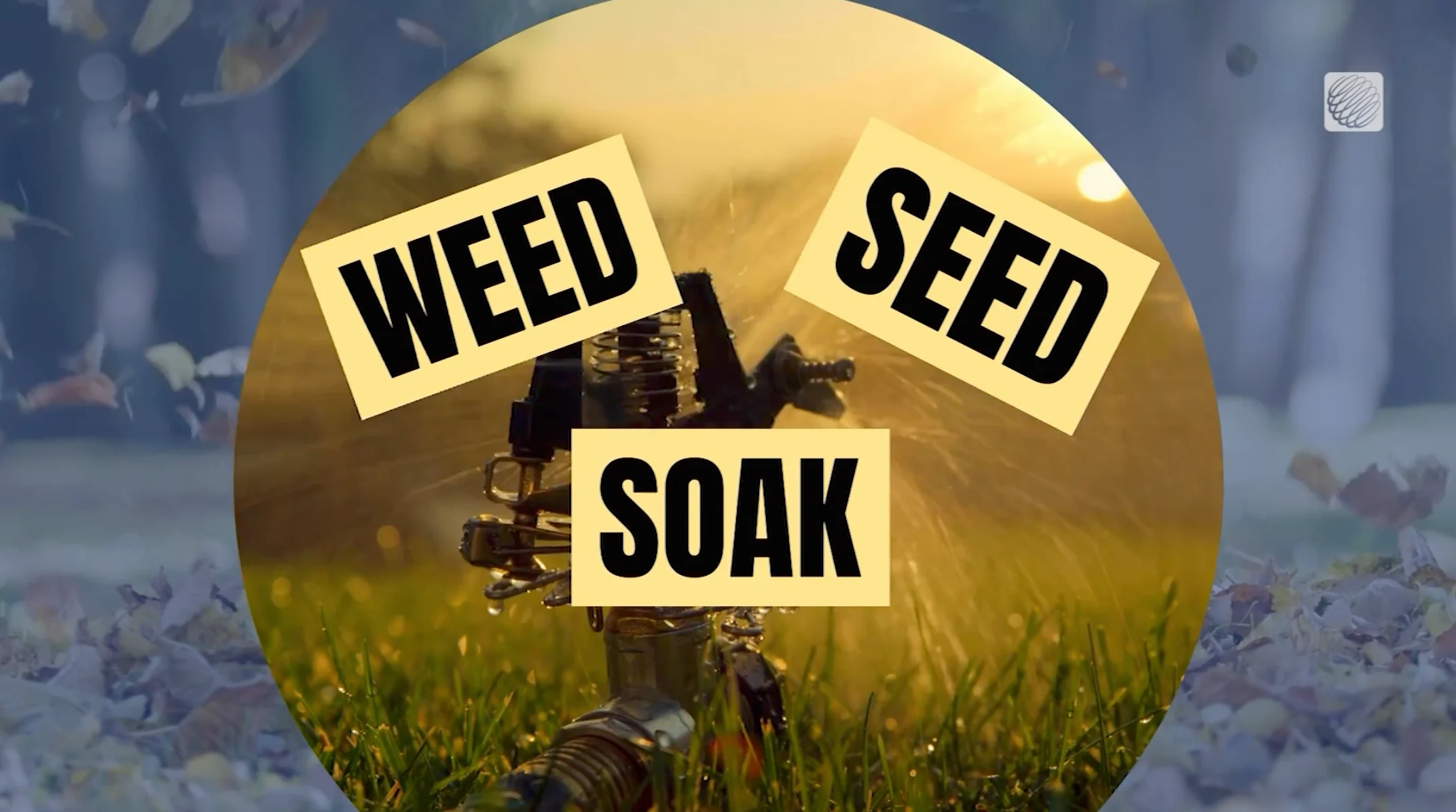 TWN: Weed, seed, soak