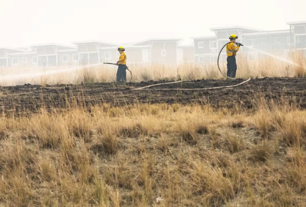 CBC: Wildfire firefighters work to put out hotspots from the McDougall Creek wildfire near homes in West Kelowna on Sunday. (Justine Boulin/CBC News)