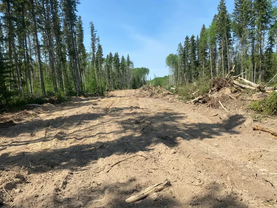 firebreak in Saskatchewan/Alexandre Silberman via CBC