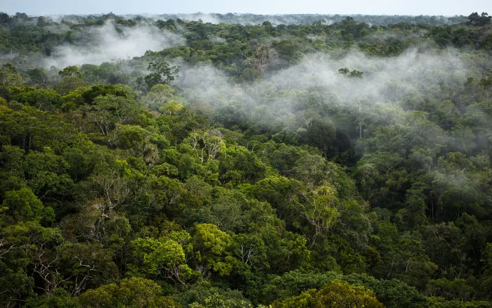 Feux : l'Amazonie connaît son pire mois de juin depuis 14 ans