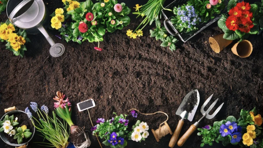 Grow a garden that will thrive all season long with these 5 tips