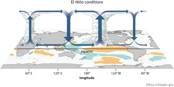 El Nino Conditions Walker