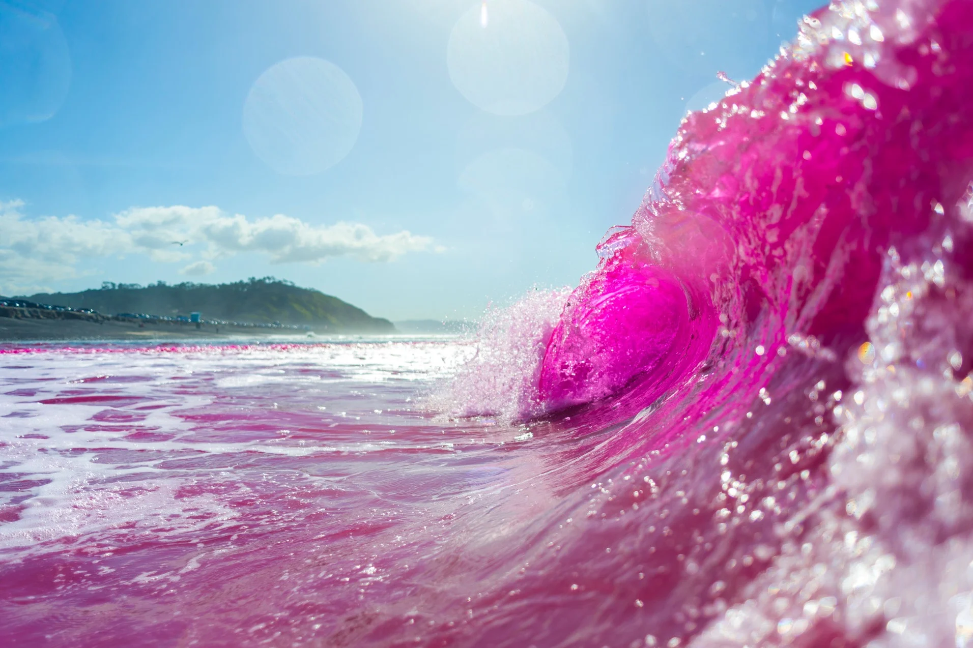 L'océan teint en rose pour la recherche