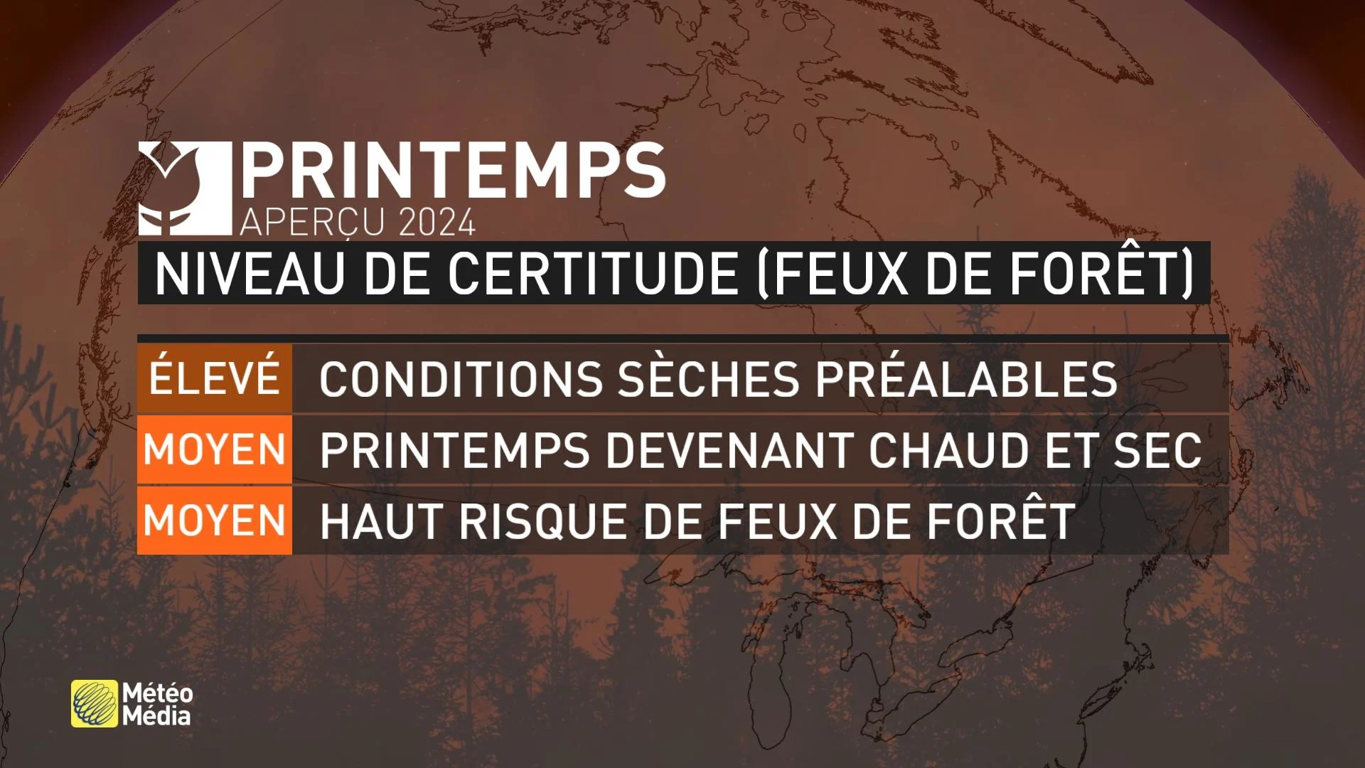 Feux de forêt