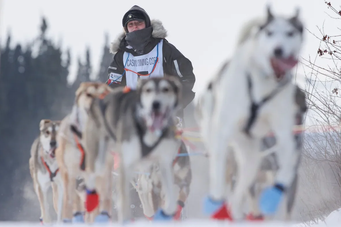 yukon-quest-2023-whitehorse/Evan Mitsui/CBC News