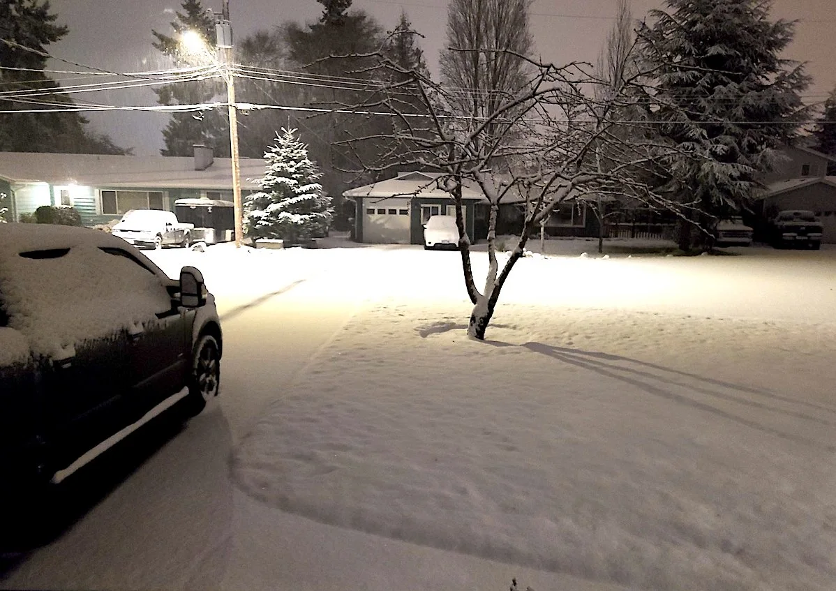 PHOTOS: British Columbia basks in a rare Christmas snowstorm