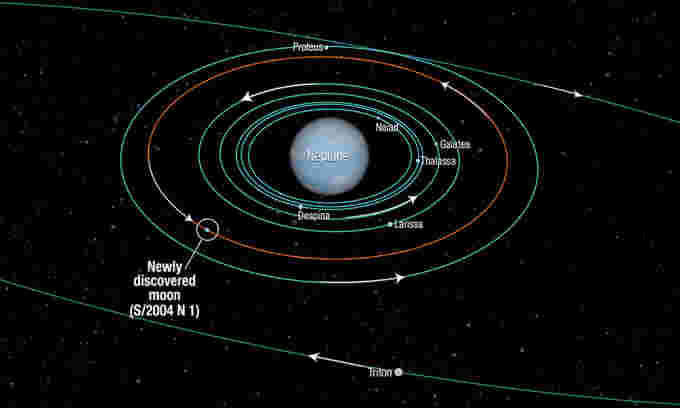 Neptune moons incl Hippocamp NASA.