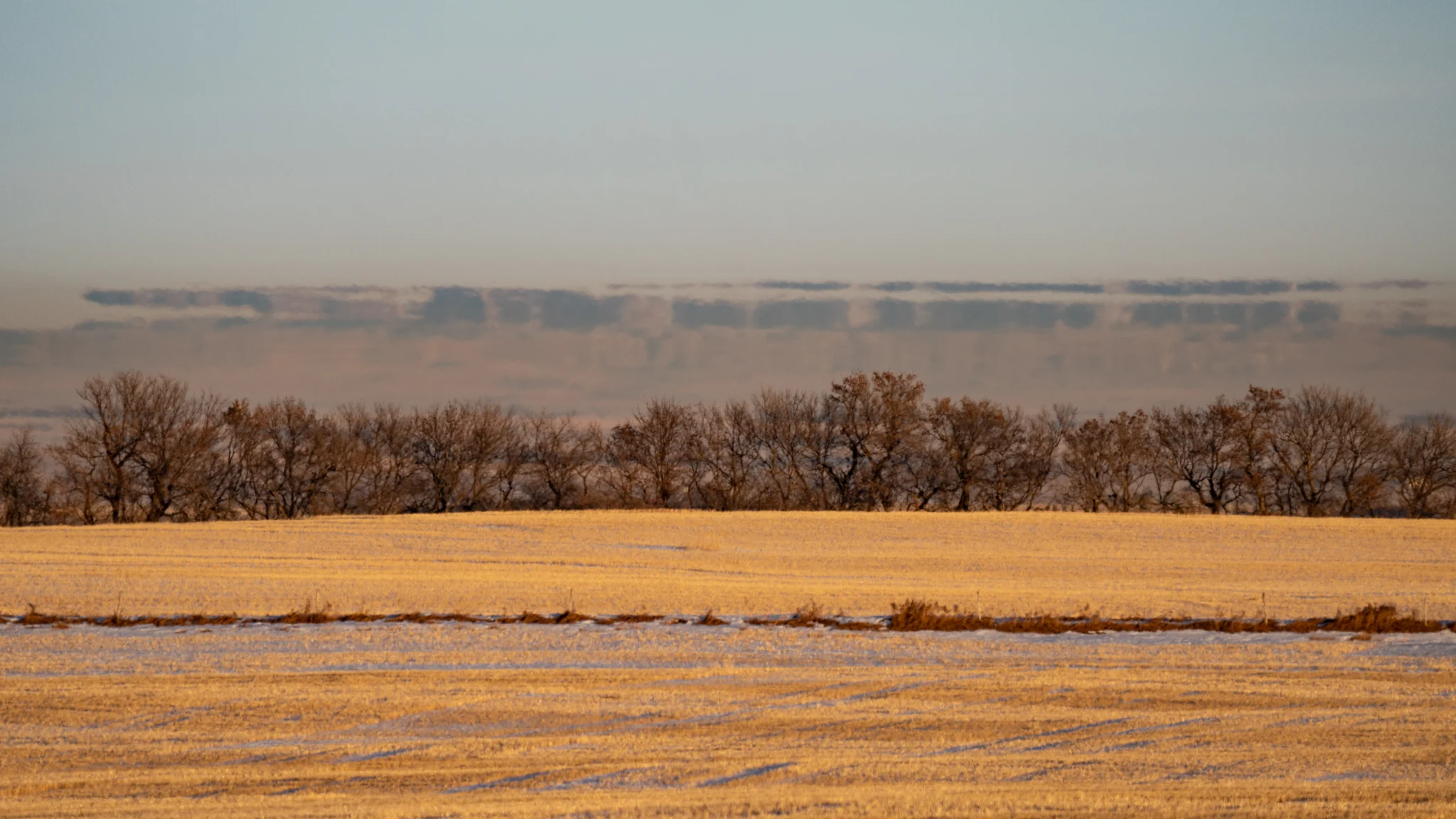 Fata Morgana spotted in Southern Alberta. Courtesy of Kyle Brittain