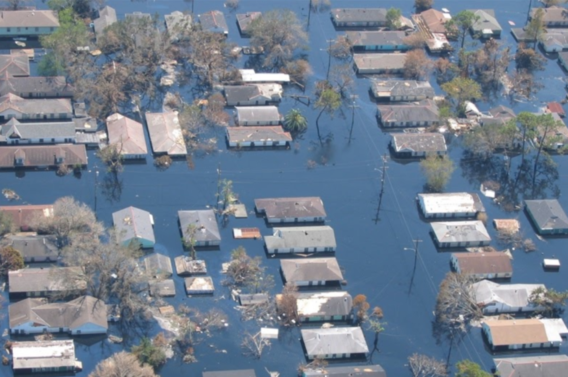The meteorological history that formed the devastating Hurricane Katrina