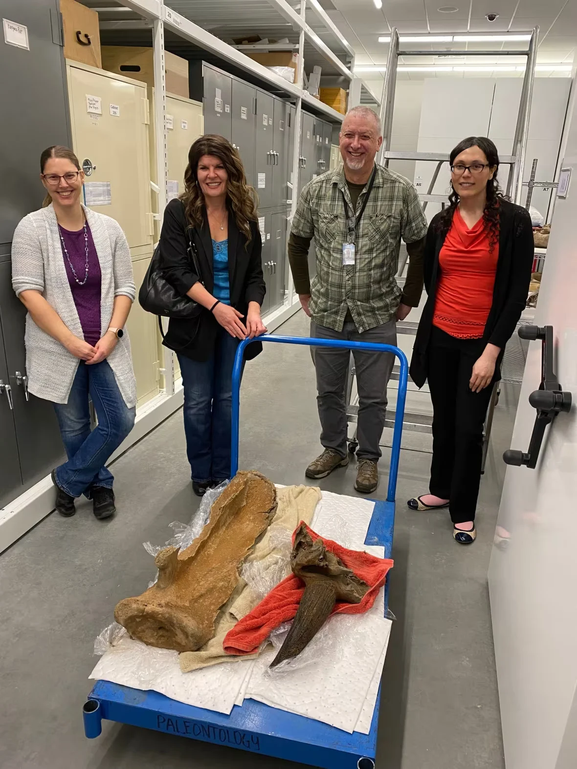 CBC: Quaternary Paleontology Team (CBC News/Royal Alberta Museum)