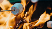 A guide to everything you need for the best bonfire