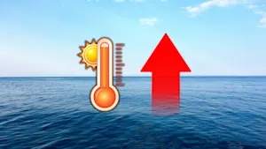 A ‘striking’ find: The world’s oceans are heating fastest in these two areas