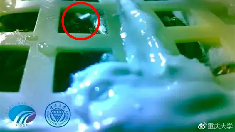 China's Chang'e 4 has grown the very first plant on the Moon