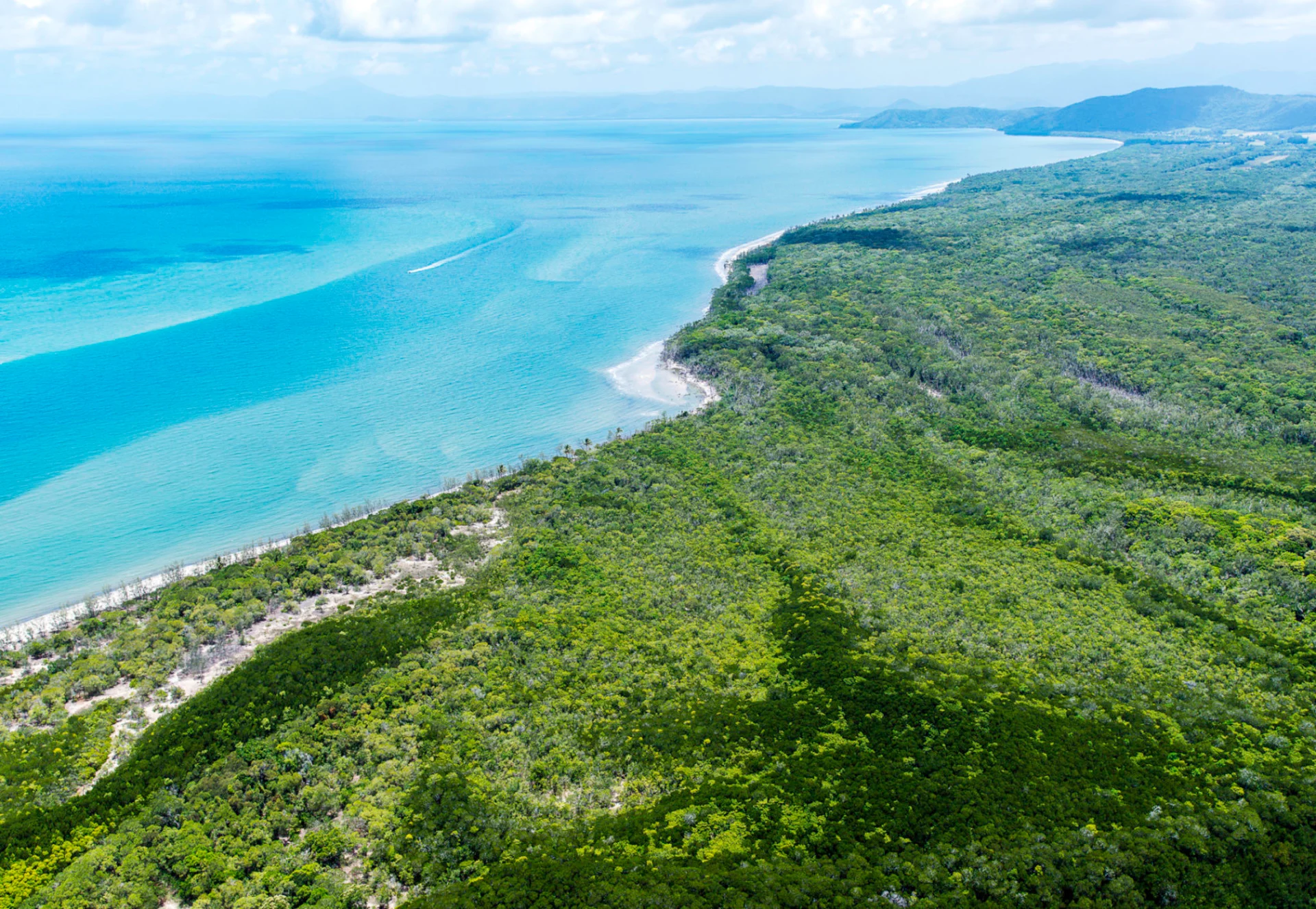 Australia's Daintree Rainforest returned to Indigenous owners