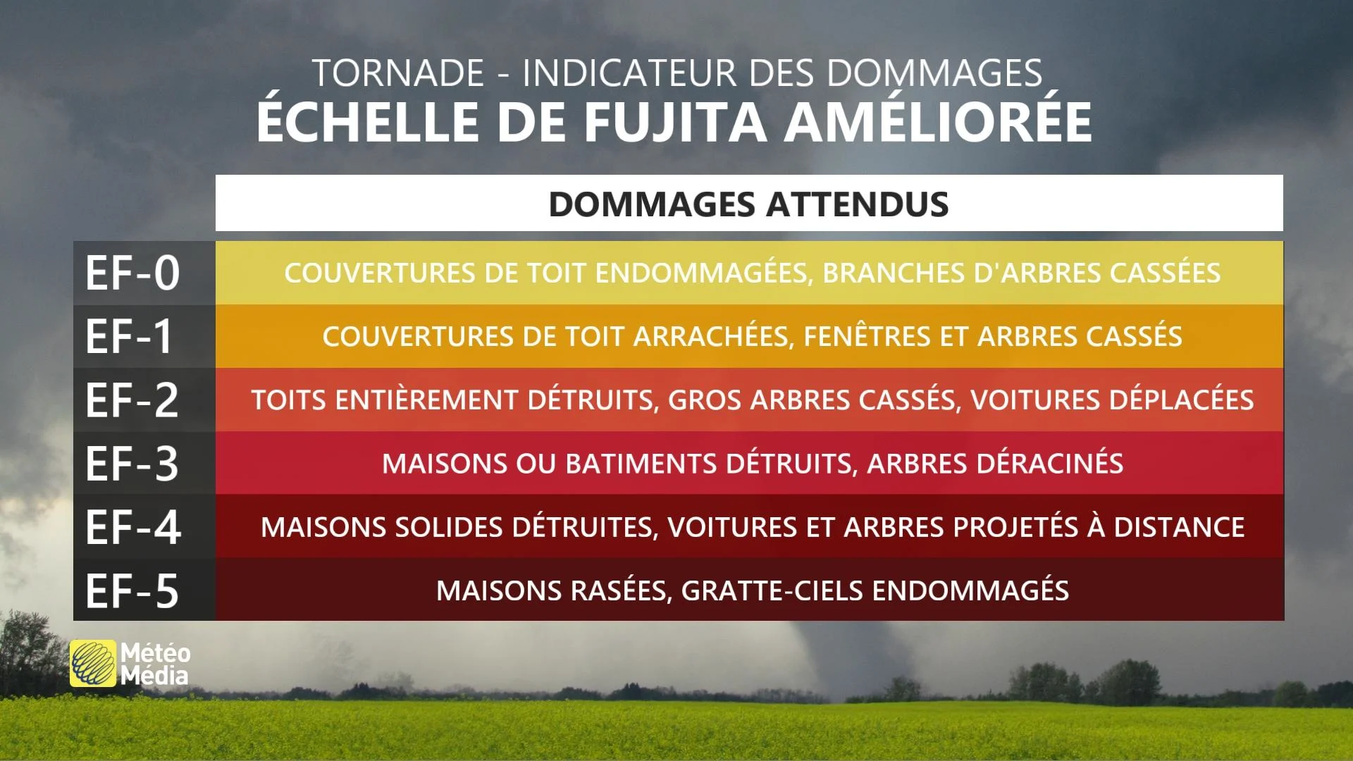 BILAN2 ÉCHELLE