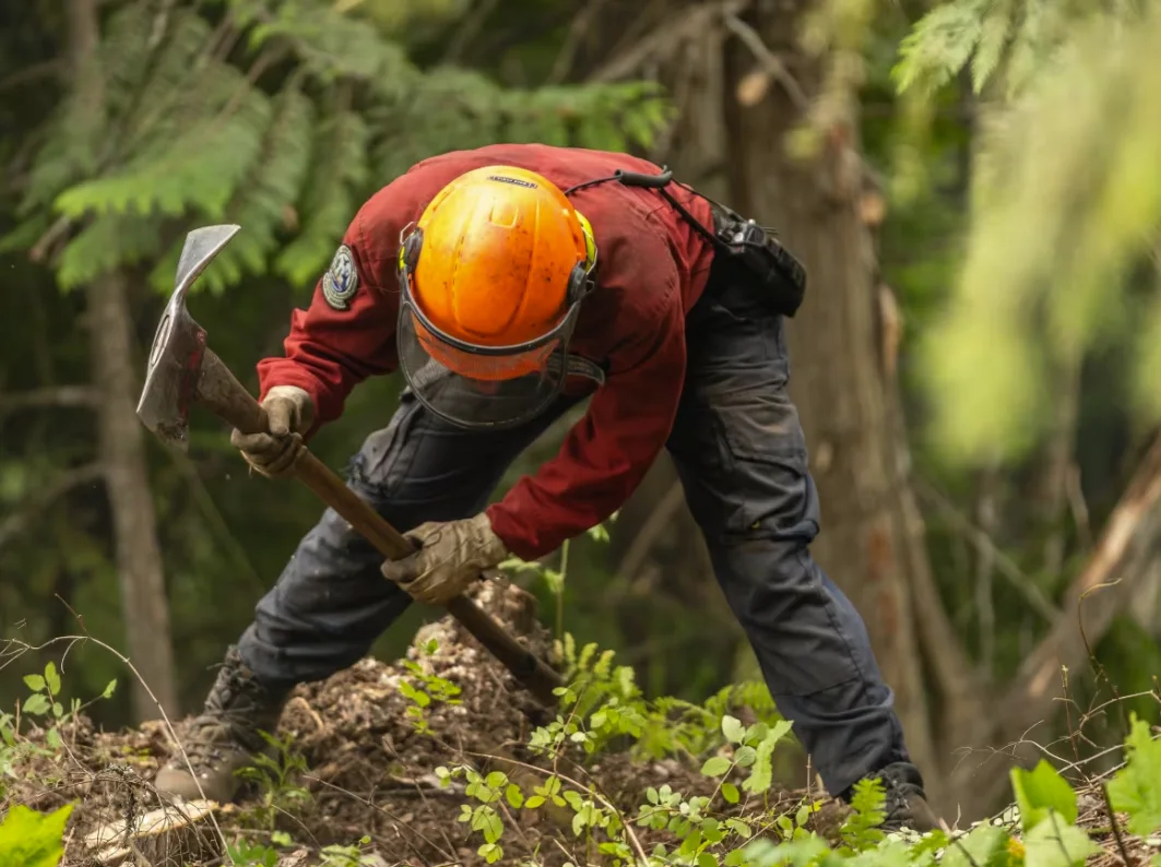 CBC: A wildfire crew member helping fight the Slocan Lake fire complex digs a guard on July 27. (B.C. Wildfire Service/Twitter)